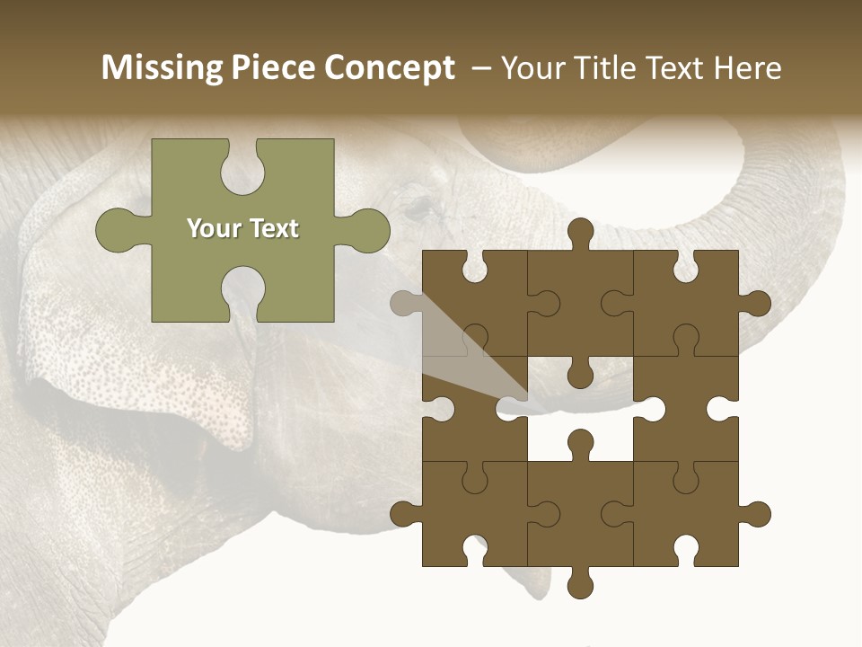 Wild Zoo Big PowerPoint Template