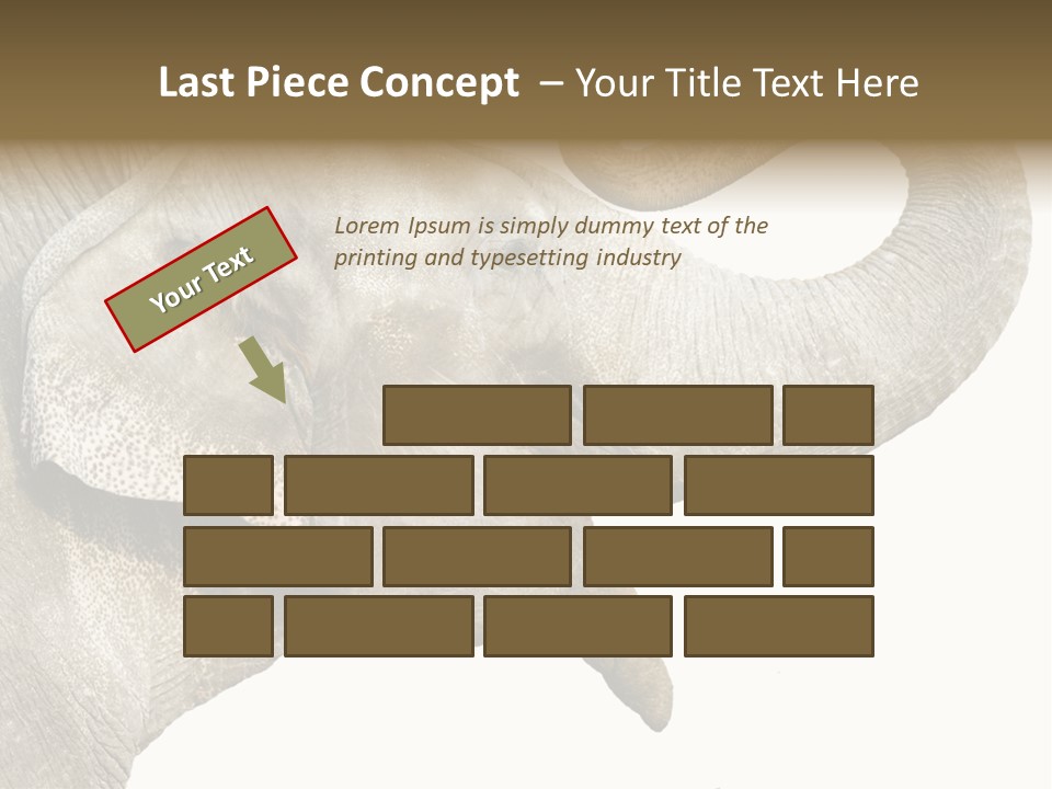 Wild Zoo Big PowerPoint Template