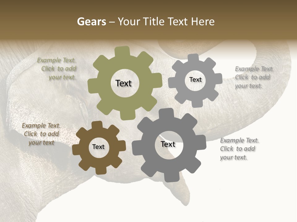 Wild Zoo Big PowerPoint Template