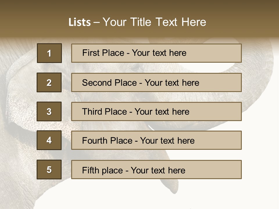 Wild Zoo Big PowerPoint Template
