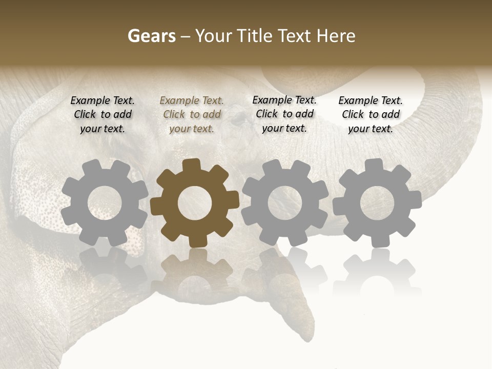 Wild Zoo Big PowerPoint Template