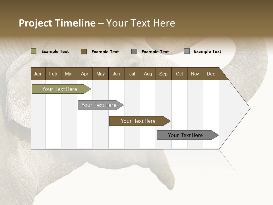 Wild Zoo Big PowerPoint Template