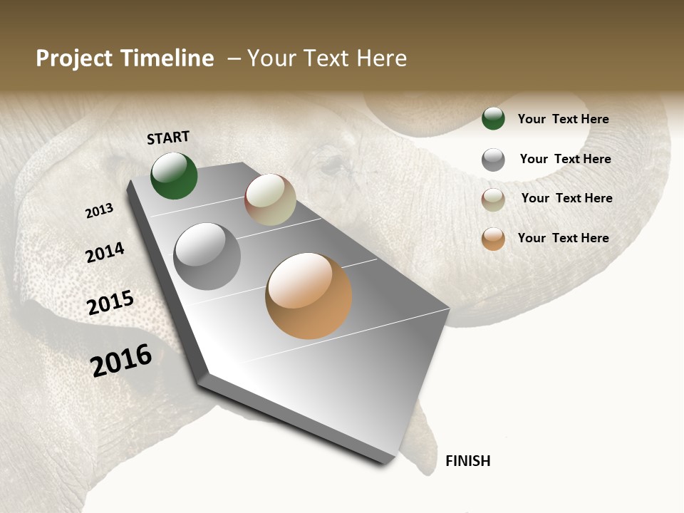 Wild Zoo Big PowerPoint Template
