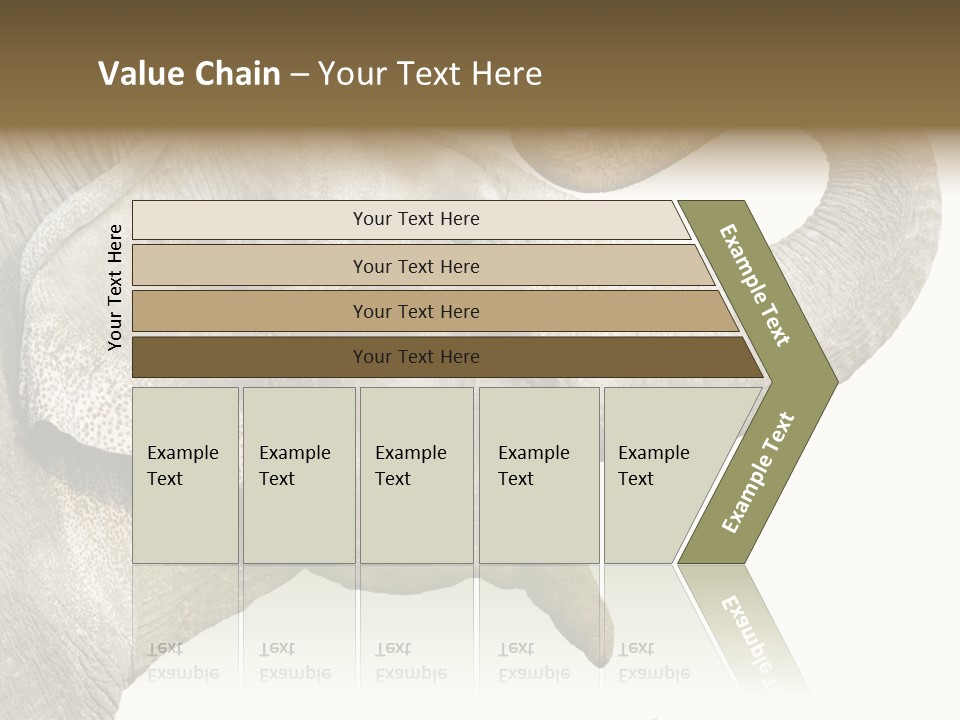Wild Zoo Big PowerPoint Template