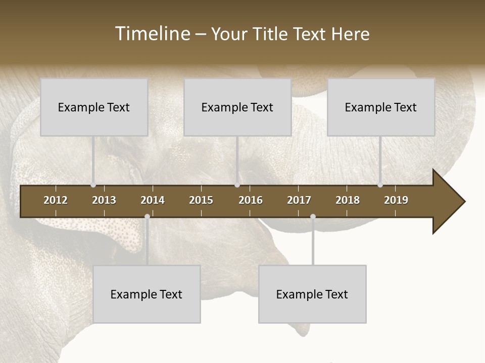 Wild Zoo Big PowerPoint Template