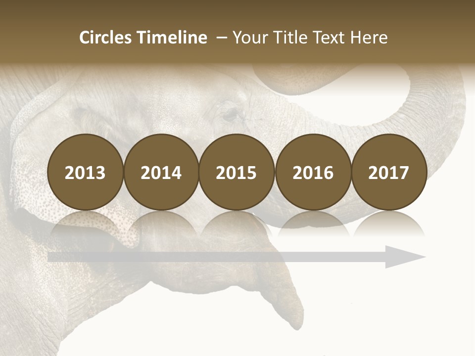 Wild Zoo Big PowerPoint Template