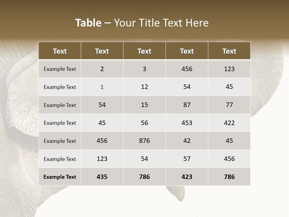 Wild Zoo Big PowerPoint Template