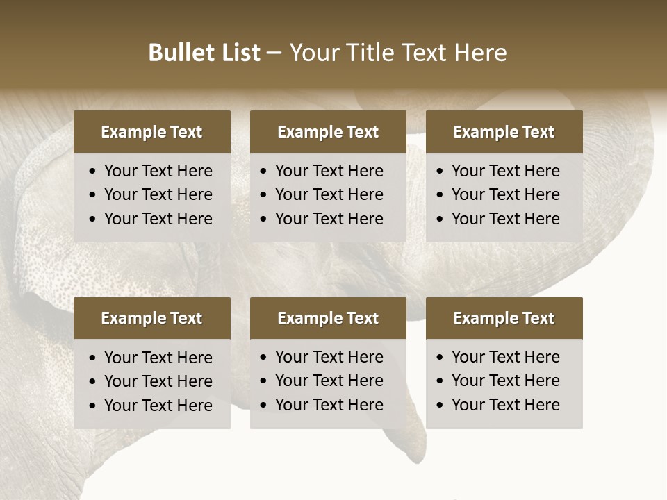 Wild Zoo Big PowerPoint Template