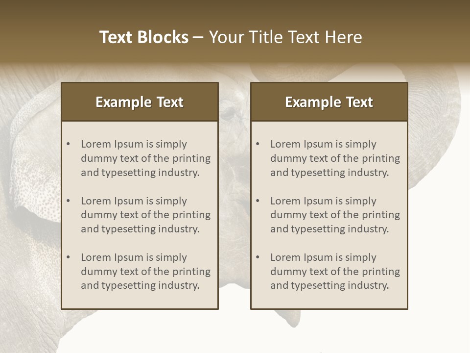 Wild Zoo Big PowerPoint Template