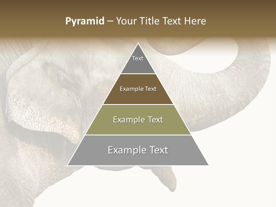 Wild Zoo Big PowerPoint Template