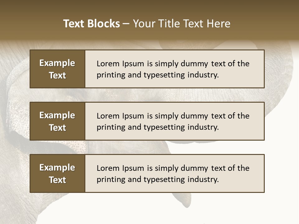 Wild Zoo Big PowerPoint Template