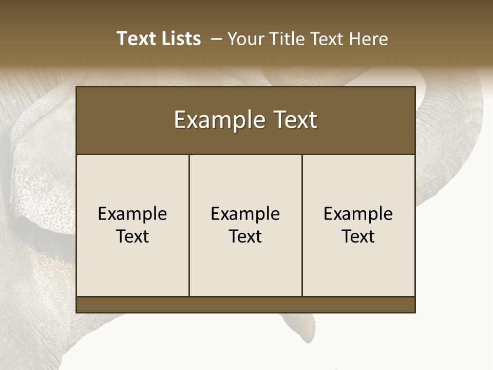 Wild Zoo Big PowerPoint Template