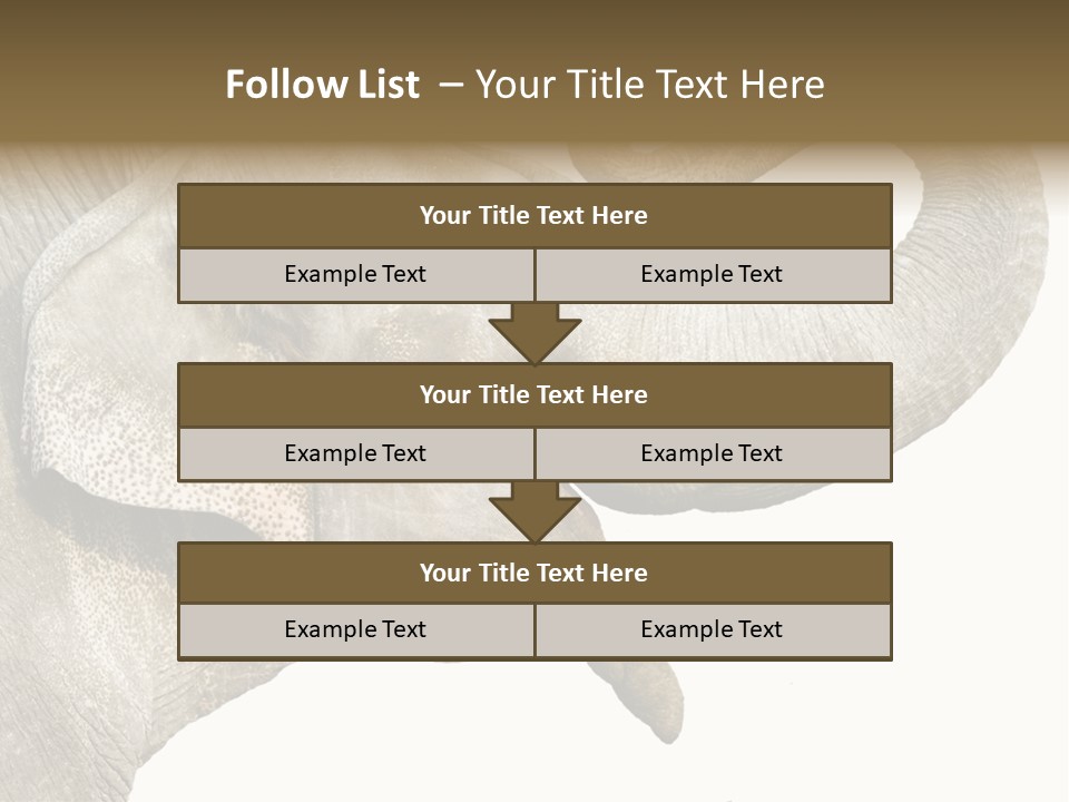Wild Zoo Big PowerPoint Template