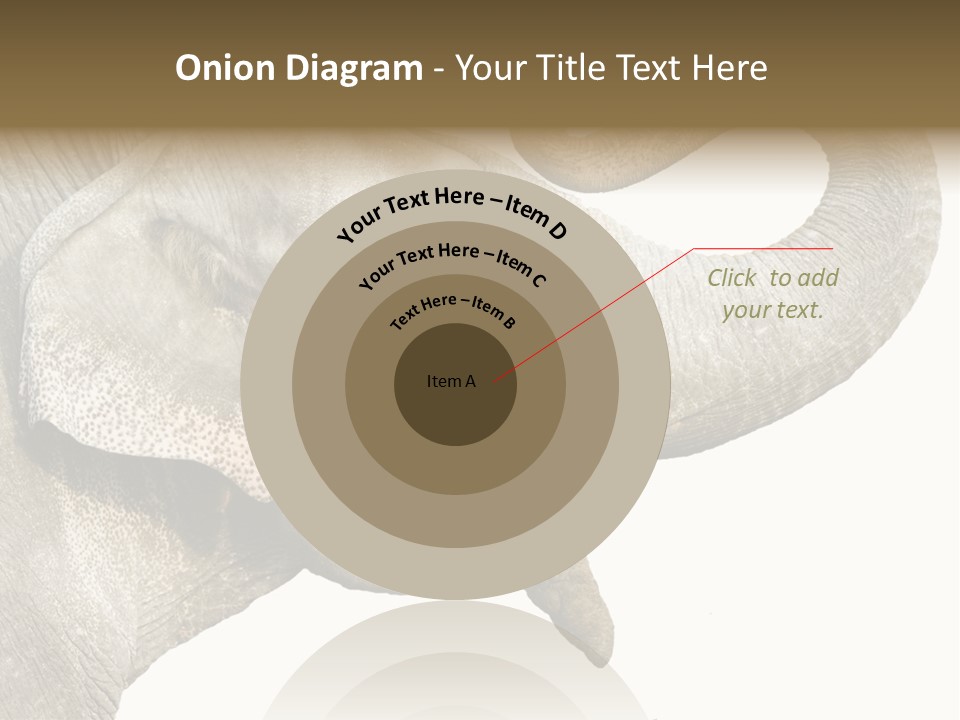 Wild Zoo Big PowerPoint Template