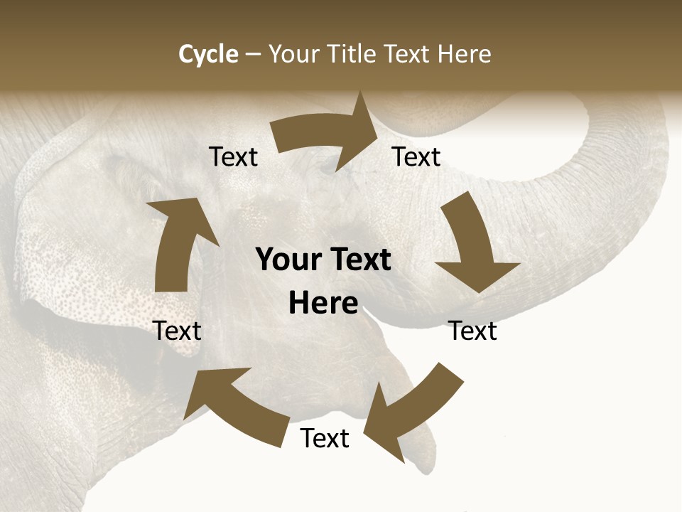 Wild Zoo Big PowerPoint Template