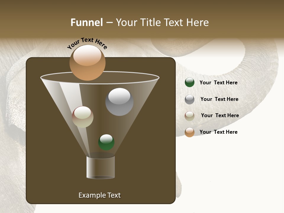 Wild Zoo Big PowerPoint Template