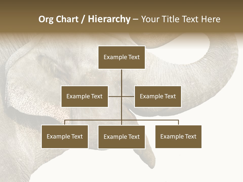 Wild Zoo Big PowerPoint Template