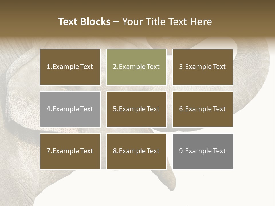 Wild Zoo Big PowerPoint Template