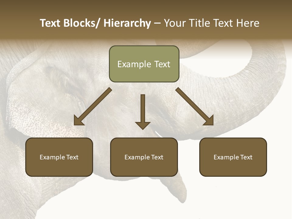 Wild Zoo Big PowerPoint Template