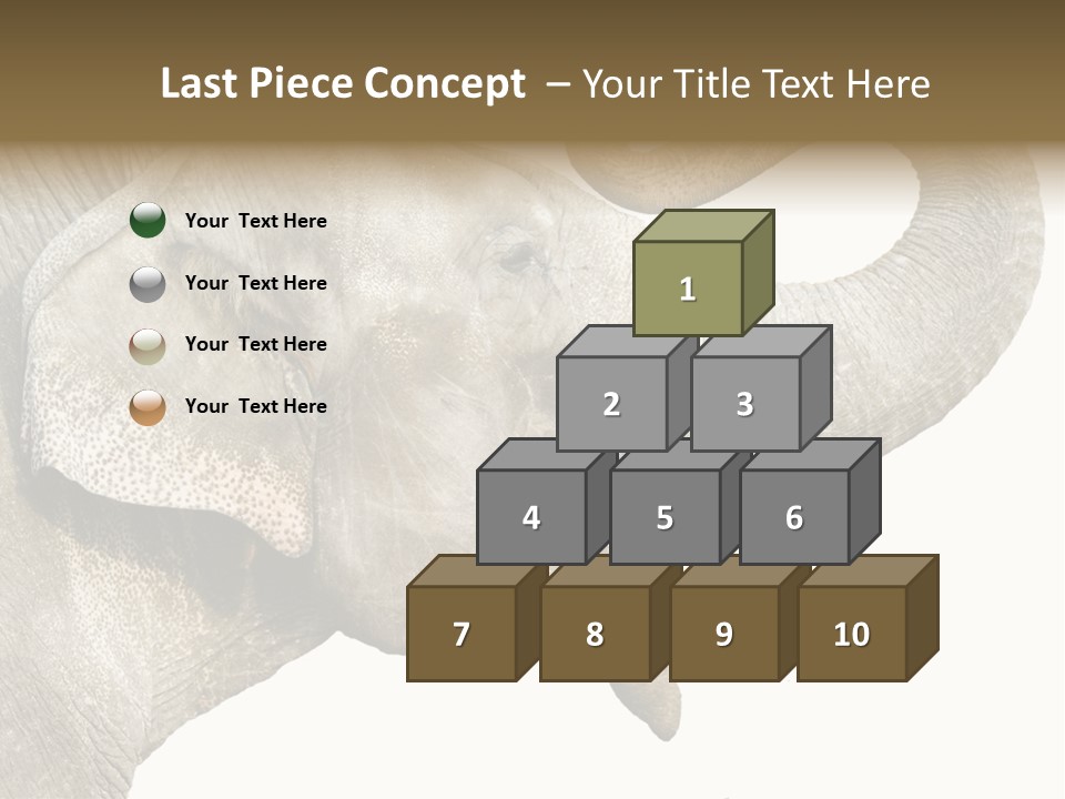 Wild Zoo Big PowerPoint Template