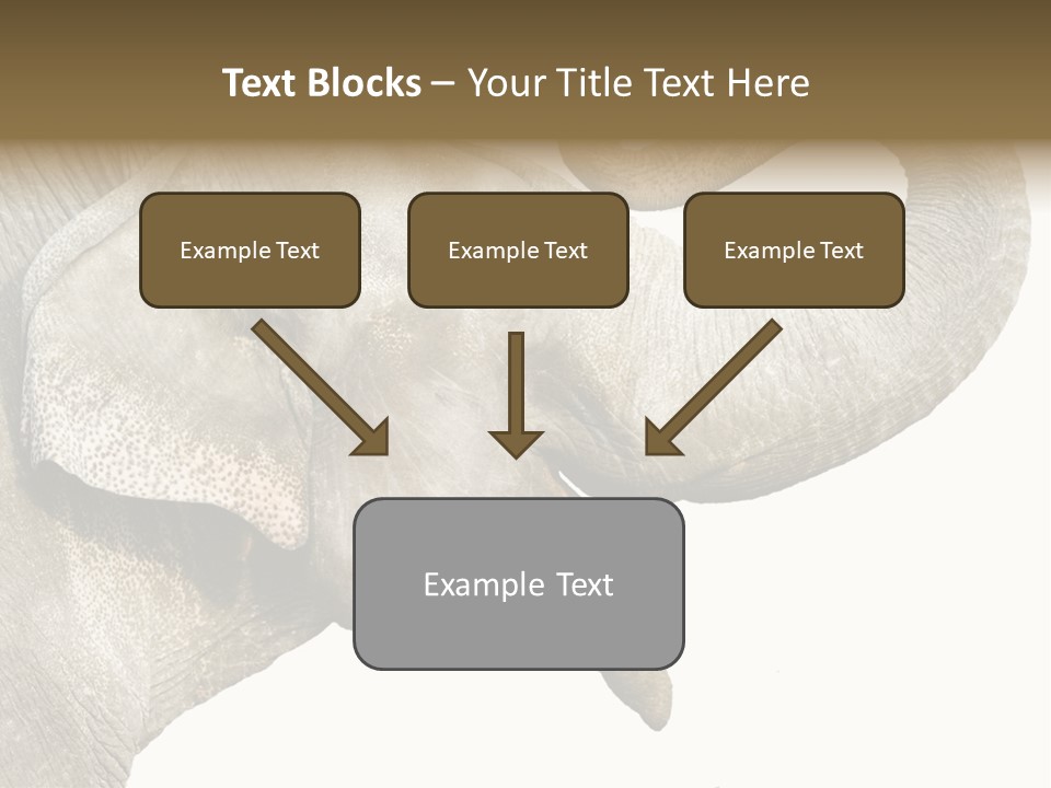 Wild Zoo Big PowerPoint Template