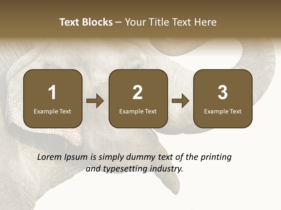 Wild Zoo Big PowerPoint Template