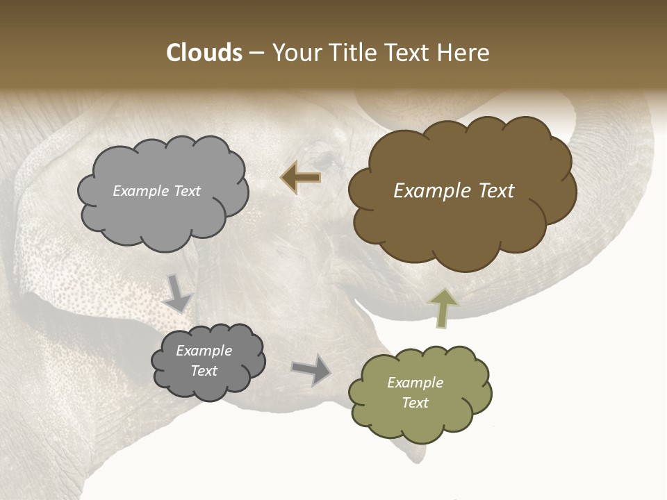 Wild Zoo Big PowerPoint Template