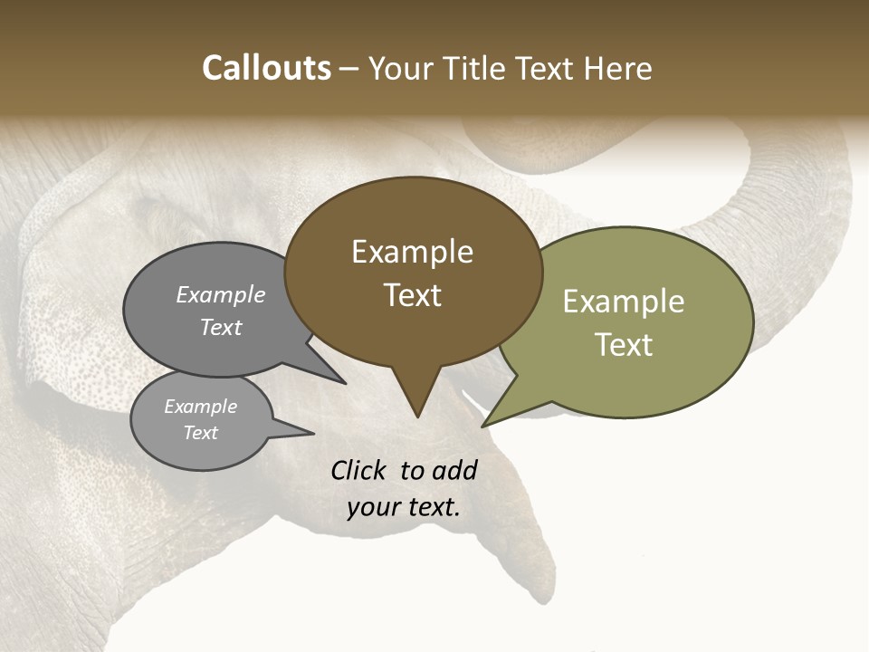 Wild Zoo Big PowerPoint Template