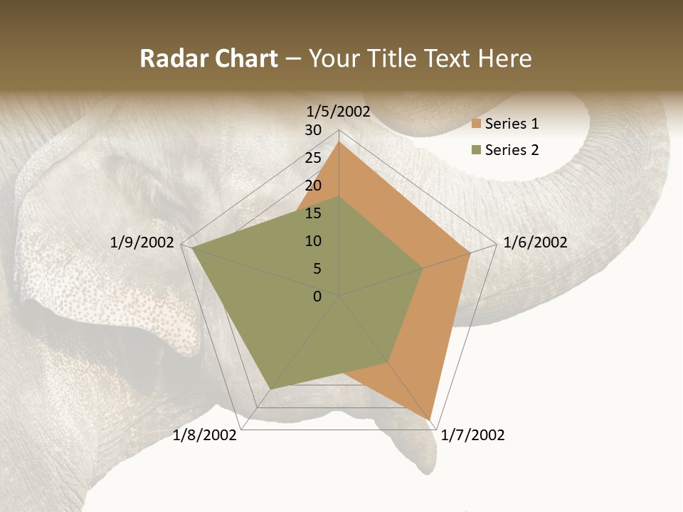 Wild Zoo Big PowerPoint Template