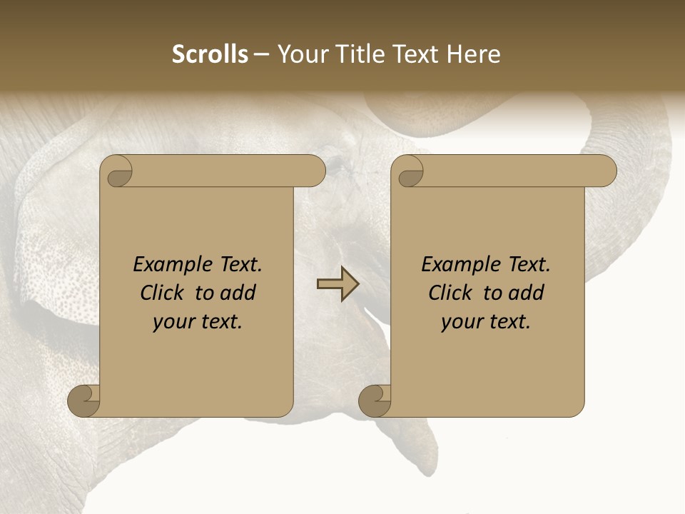 Wild Zoo Big PowerPoint Template