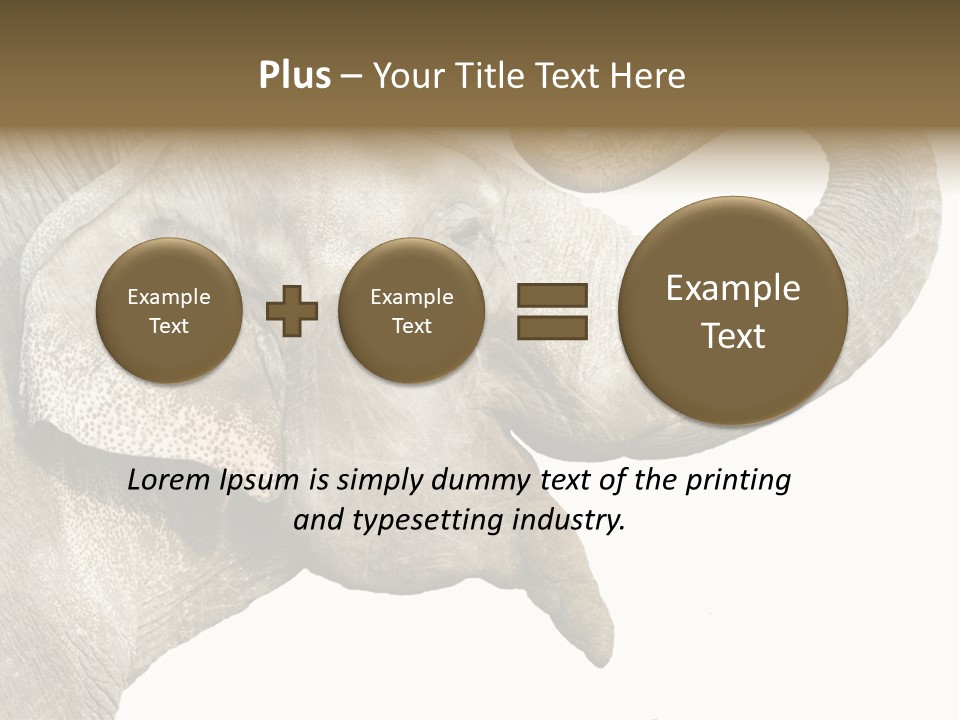 Wild Zoo Big PowerPoint Template