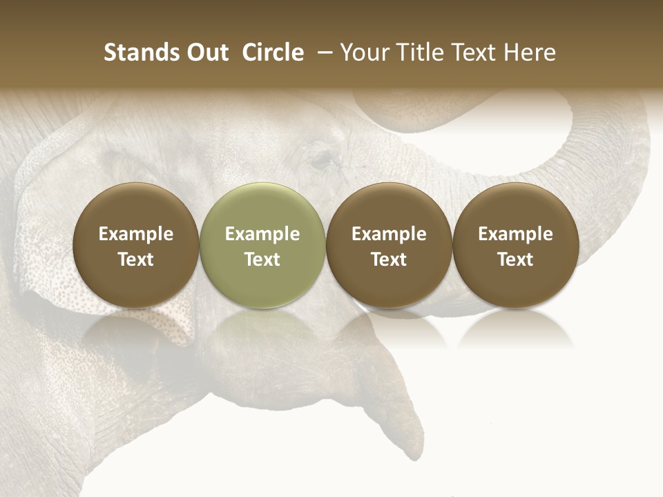 Wild Zoo Big PowerPoint Template