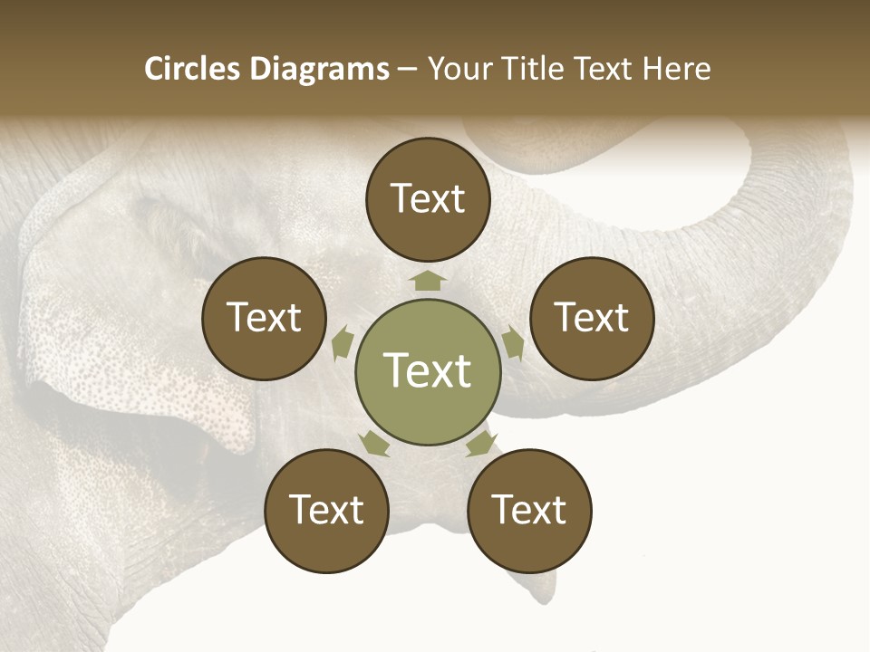 Wild Zoo Big PowerPoint Template