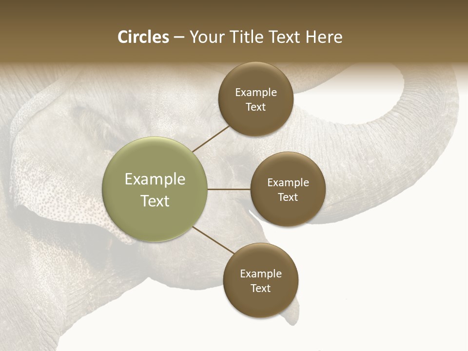 Wild Zoo Big PowerPoint Template