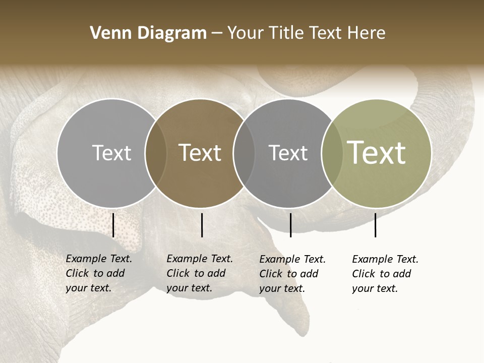 Wild Zoo Big PowerPoint Template