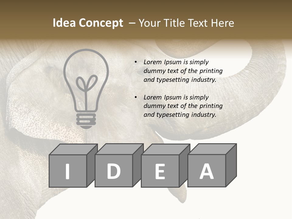 Wild Zoo Big PowerPoint Template