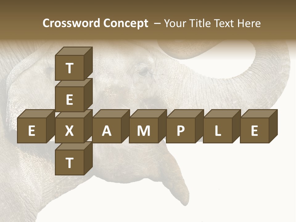 Wild Zoo Big PowerPoint Template