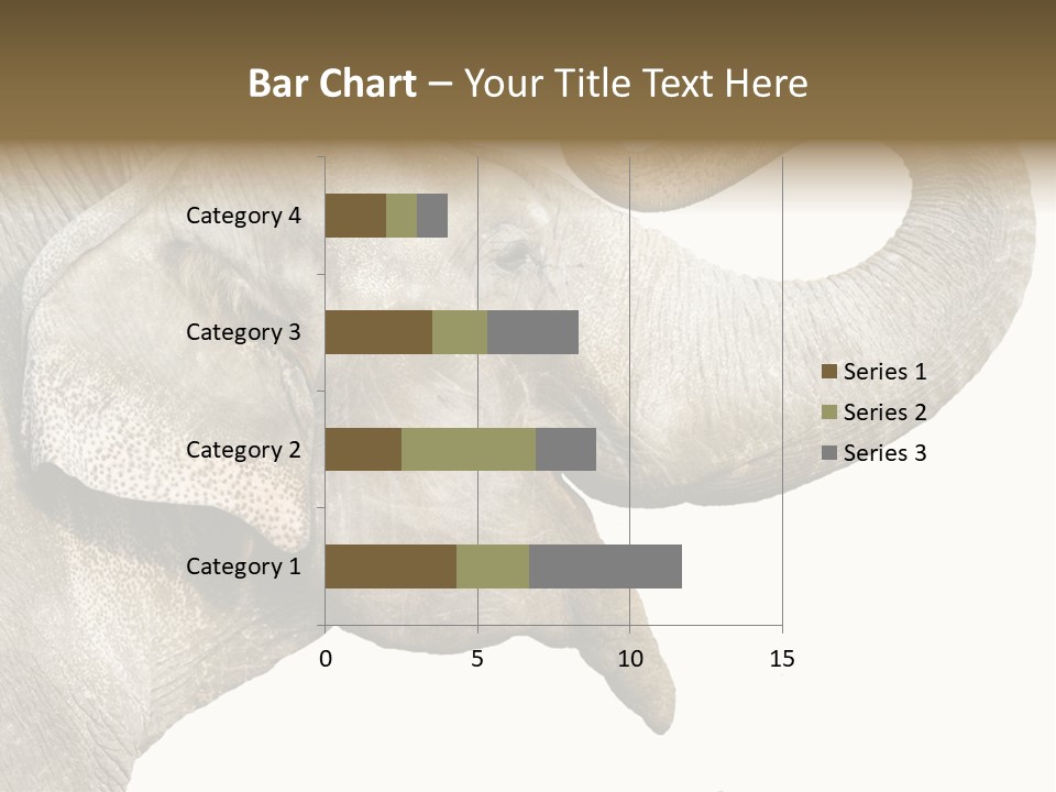 Wild Zoo Big PowerPoint Template