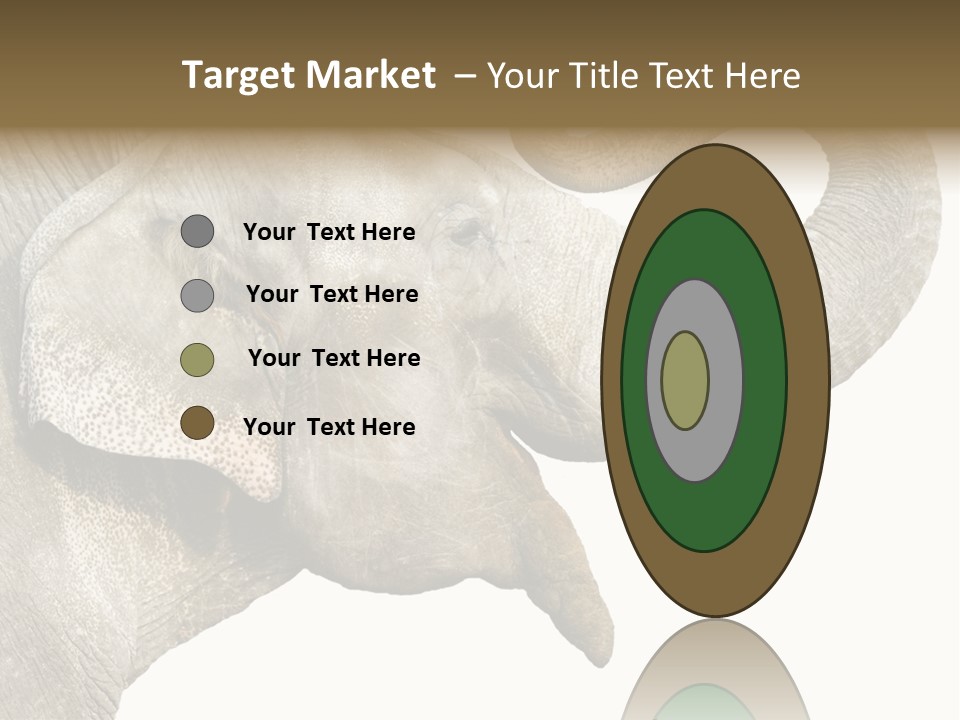 Wild Zoo Big PowerPoint Template