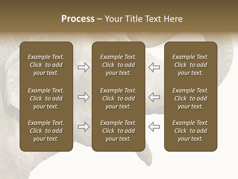 Wild Zoo Big PowerPoint Template