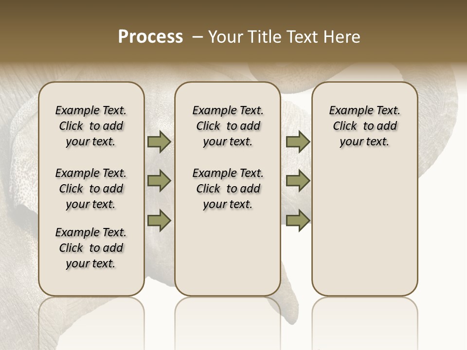 Wild Zoo Big PowerPoint Template