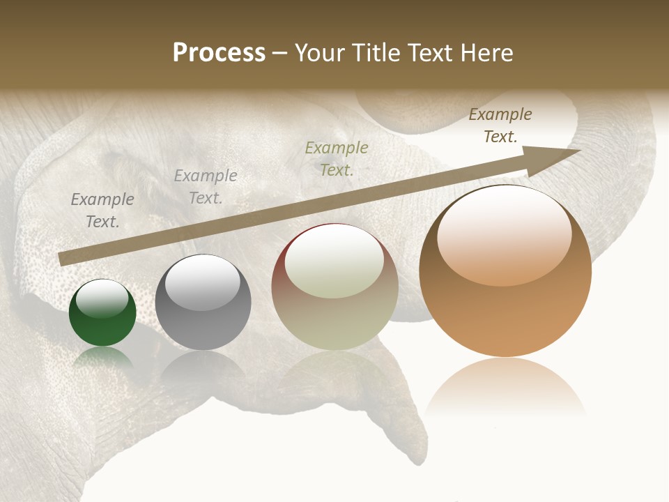 Wild Zoo Big PowerPoint Template