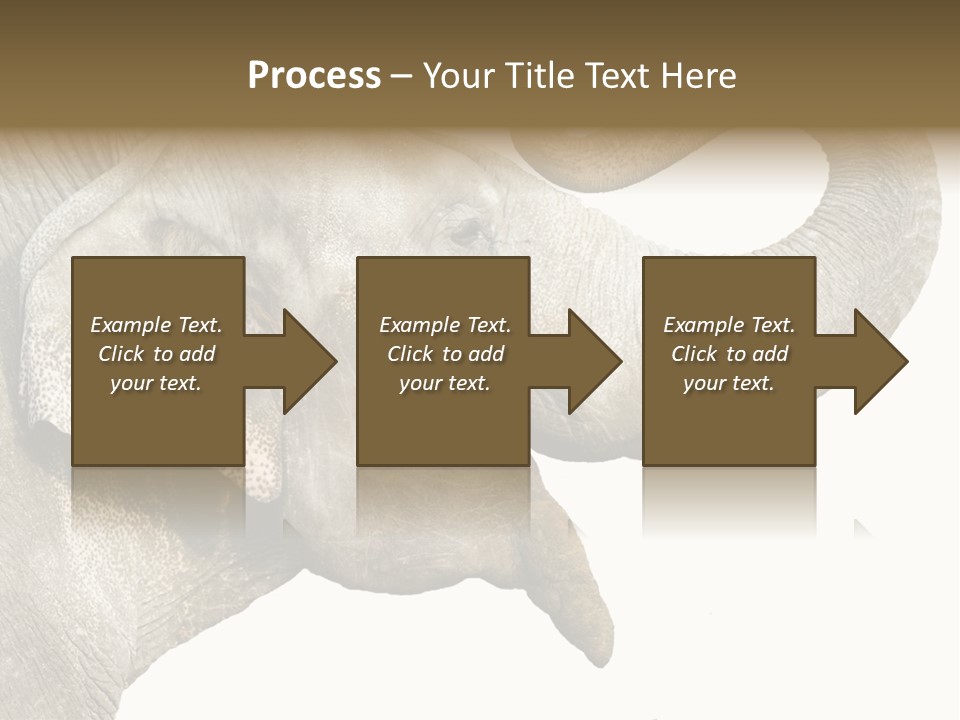 Wild Zoo Big PowerPoint Template