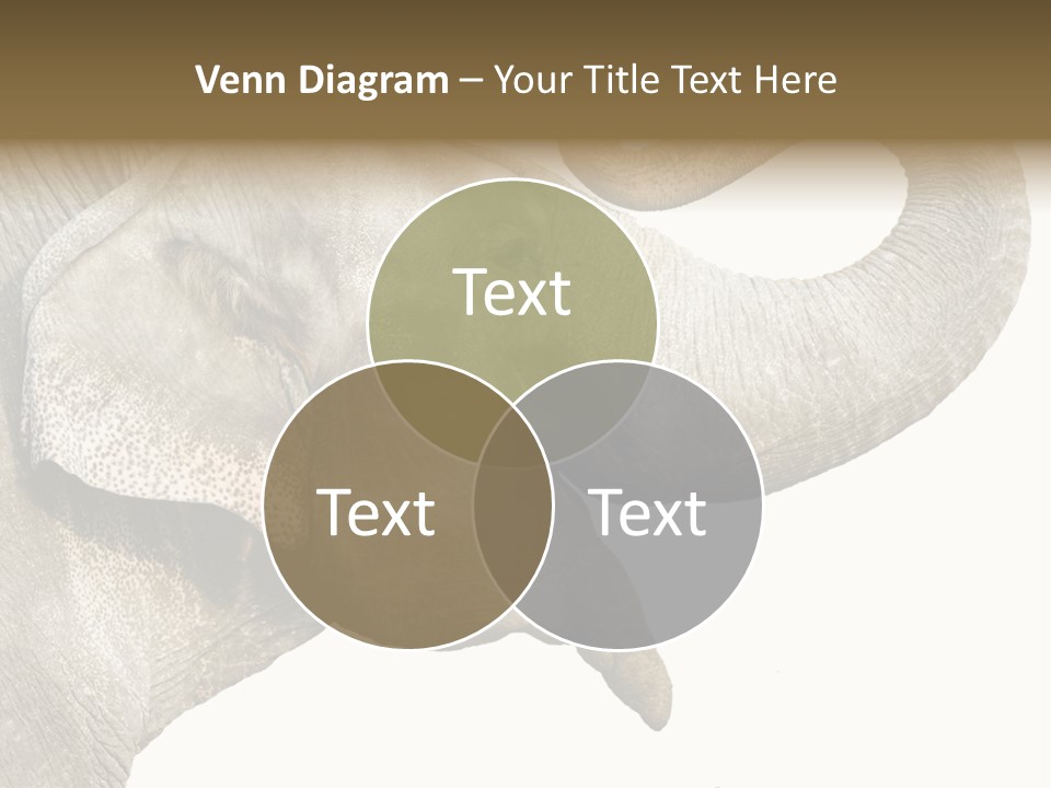 Wild Zoo Big PowerPoint Template