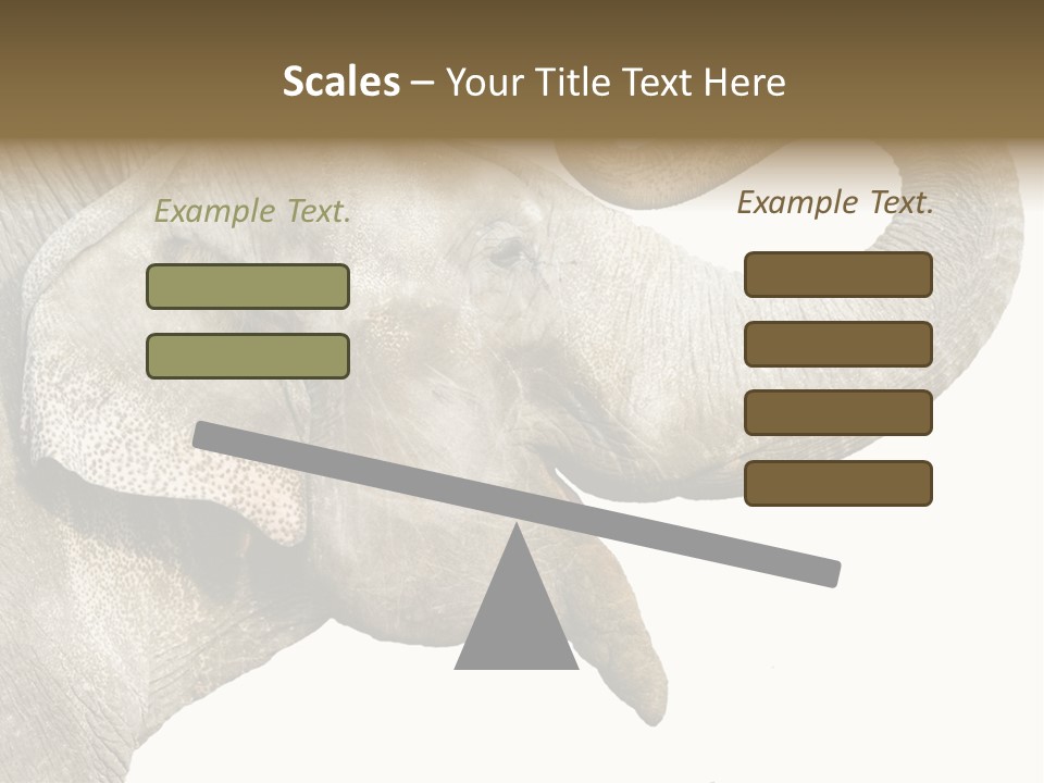 Wild Zoo Big PowerPoint Template