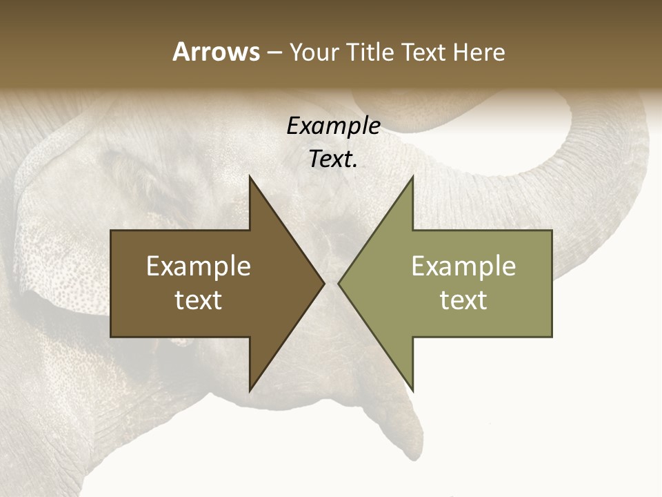 Wild Zoo Big PowerPoint Template