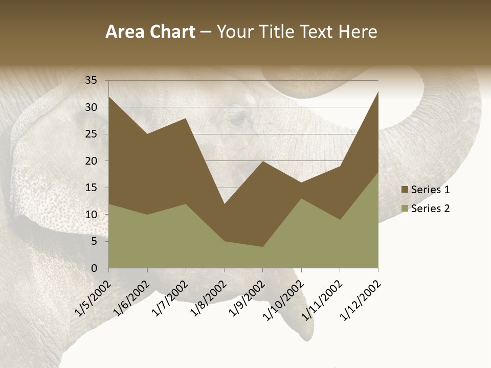 Wild Zoo Big PowerPoint Template