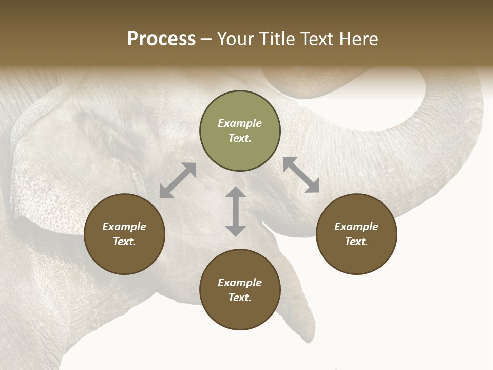 Wild Zoo Big PowerPoint Template