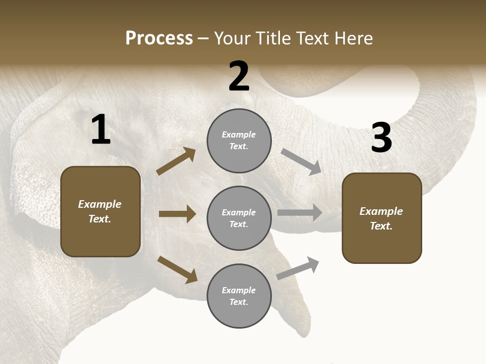 Wild Zoo Big PowerPoint Template