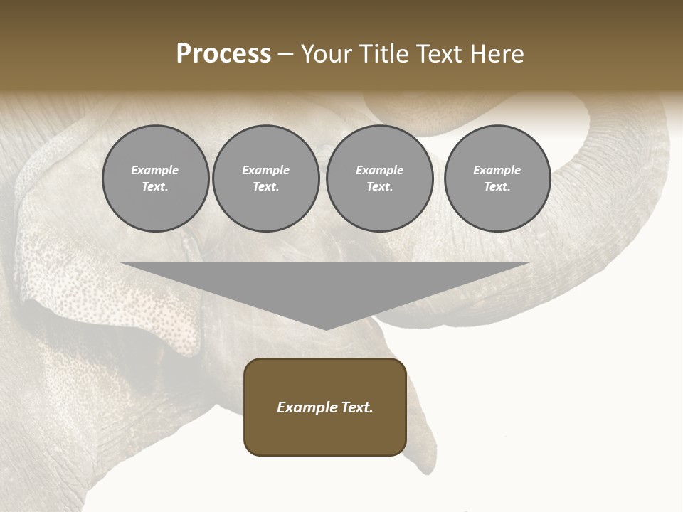 Wild Zoo Big PowerPoint Template